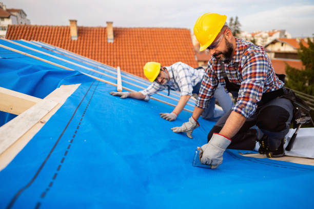Quick and Trustworthy Emergency Roof Repair Services in Pine Level, NC