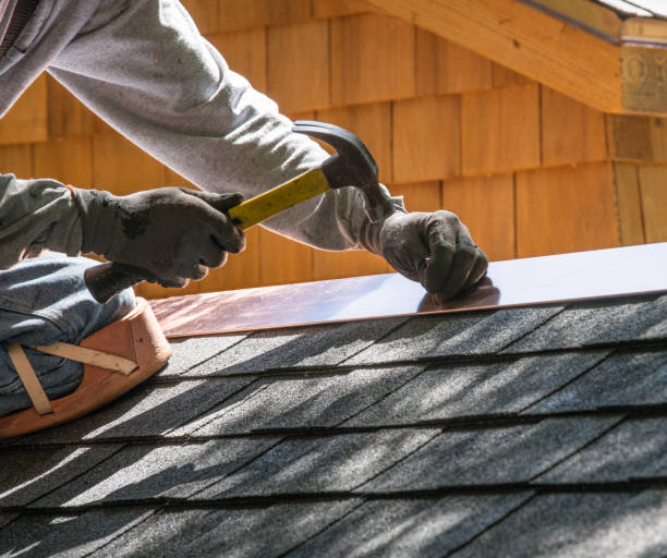 Roof Gutter Cleaning in Pine Level, NC